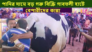 পানির দামে বড় গরু বিক্রি গাবতলী হাটে বেপারীদের কান্না gabtoli haat big cow