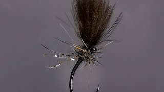 Black CDC emerger