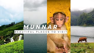 Munnar Tourist Places | Places to visit in Munnar | Munnar Complete Tour Guide |#kerala | iamsajaved