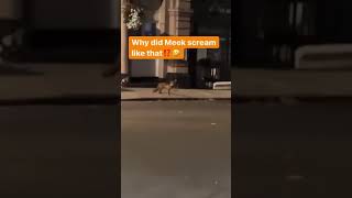 Meek Mill had a run-in with a fox out in London‼️😂