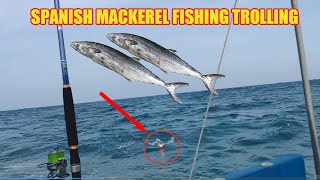 spanish mackerel fishing trolling