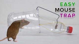 Water Bottle Mouse Trap || BEST MOUSE TRAP || Rat Trap Homemade