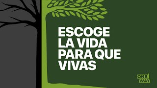 Escoge la Vida para que vivas / Melkin Sánchez