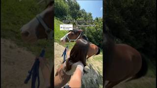 riding lesson vlog!🐴 #equestrian #ridingvlogs