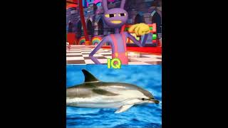 Jax vs Striped Dolphin #jax #stripeddolphin #theamazingdigitalcircus