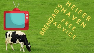 Heifer Haven Free Advice - Fixing Technology