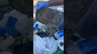 How to Clean a Carpet Filter: Revealing the Shocking Dirt and Debris