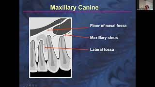 Intraoral anatomy and dental materials Recording