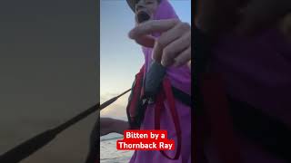 I got bit by a Thornback Ray 😭 #inflatableboats #inflatableboatfishing #funny