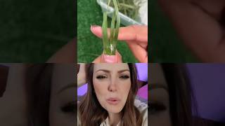 🤯 Elle rallonge ses ongles avec de l'acrygel et...de l'herbe! #shorts #nails yournails-international