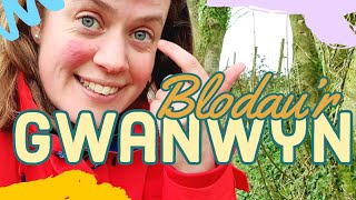 Dysgu Cymraeg - blodau'r gwanwyn 🌷 (Mynediad) Welsh vlog for beginners | Galés con Marian