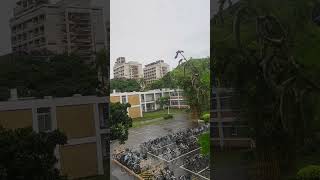 Barish #gazal #rain#weather #reels #shorts #song