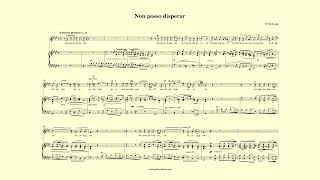 Non posso disperar accompaniment - De Luca - F minor