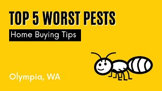 Top 5 Worst Pests to Look Out for When Buying a Home in Olympia WA