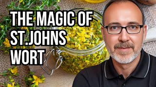 St. John's Wort for Magic & Herbalism