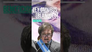 #leyomnibus 🔍BLANQUEO 💵 EXPLICACIÓN #javiermilei 🇦🇷