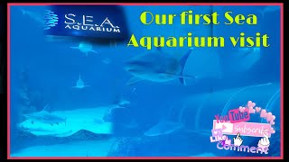 Our first Sea Aquarium experience during my kids short holiday in Singapore..