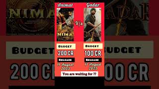 Animal Vs Gadar movie comparison #bollywood #shorts