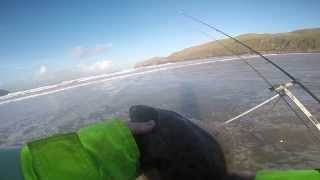 A plump flounder from Cliff Bay, in Uig on the Isle of Lewis