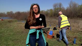 WWF в помощ на едно уязвимо богатство - крайречните гори