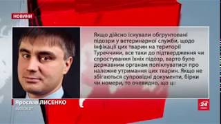 Коментар адвоката Ярослава Лисенко для Каналу 24 щодо затримання фури з вівцями. 28.10.18.