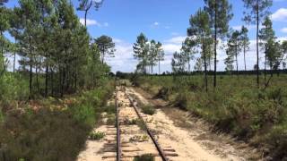 Le train de Marquèze dans les Landes