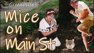 Offbeat Discoveries ~ Mice on Main ~ S1E7