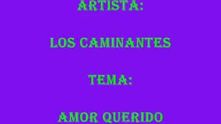 DJ William los caminantes amor querido