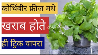 कोथिंबीर जास्त दिवस कशी टिकवायची|How to store coriander leaves in fridge for long time #cookingtips