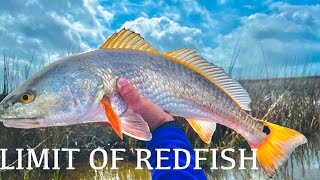 LIMIT of REDFISH| Kayak Fishing Matagorda