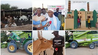 Découverte surprenante à Matam : Cheikhou Oumar Dème transforme sa localité en paradis économique...