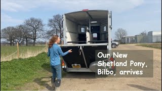 Our New Shetland Pony Bilbo arrives - TV Episode 383