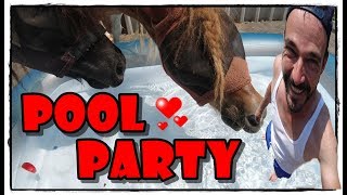 Poolparty mit Egon & Paul | Pferde Hoschi