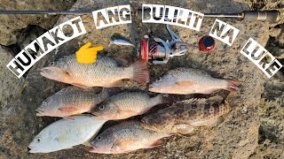 Lure na kulay blue naman ang dumali | harvest na naman ! Gamit ang ultralight | ultralight fishing