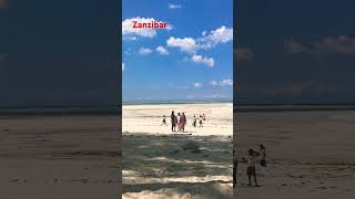 Это Африка , детка 😉 Zanzibar 🧡Tanzania 🇹🇿 отлив 🌊