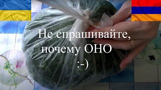 ВЫ ТАКОЕ замораживали на зиму? Влог Украина, Армения. Я кольцо потеряла #армения #украина #ереван