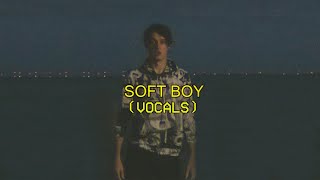 Wilbur Soot - Soft Boy [VOCALS]