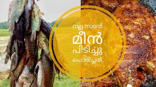 fish fry | fish catching and cooking in my village | kerala fishing