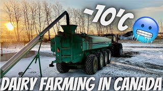 Hauling Liquid Manure In Sub Zero Temps 🥶🥶