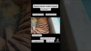 Какие виды инвестиций бывают?