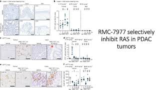 RMC-7977 selectivity towards the tumours #Code: 720