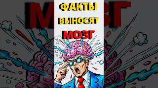 НЕВЕРОЯТНЫЕ ФАКТЫ, КОТОРЫЕ ВЗОРВУТ ВАШ МОЗГ #shorts