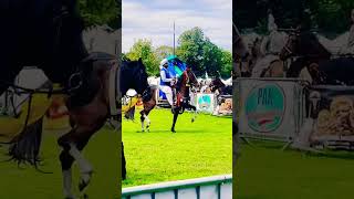 Horse Dance #horsedance #horses #shorts #ytshorts