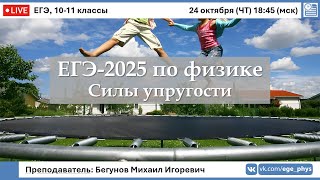 🔴 ЕГЭ-2025 по физике. Силы упругости