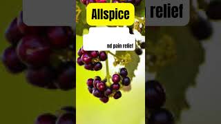 Allspice Healing Medicinal Herb Plant #herbalmedicine #medicinalplants #holistichealth