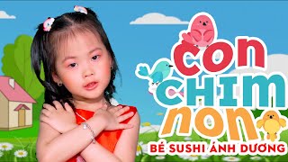 CON CHIM NON - BÉ SUSHI ÁNH DƯƠNG ♫ Con chim non trên cành cây hót véo von