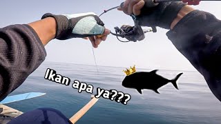 Ultralight jigging ,#05, Ikan yg sulit ditaklukan...."Kyak ditarik mobil"😦