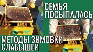 Методы зимовки слабышей. Почему не берут сироп?