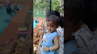 NITYA'S SUMMER SWIMMING