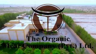 The Organic Meat Company